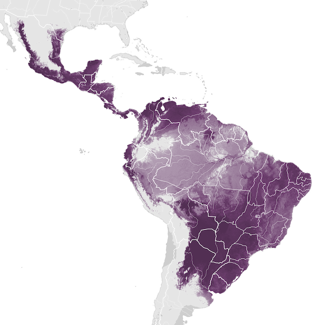 Abundance Map