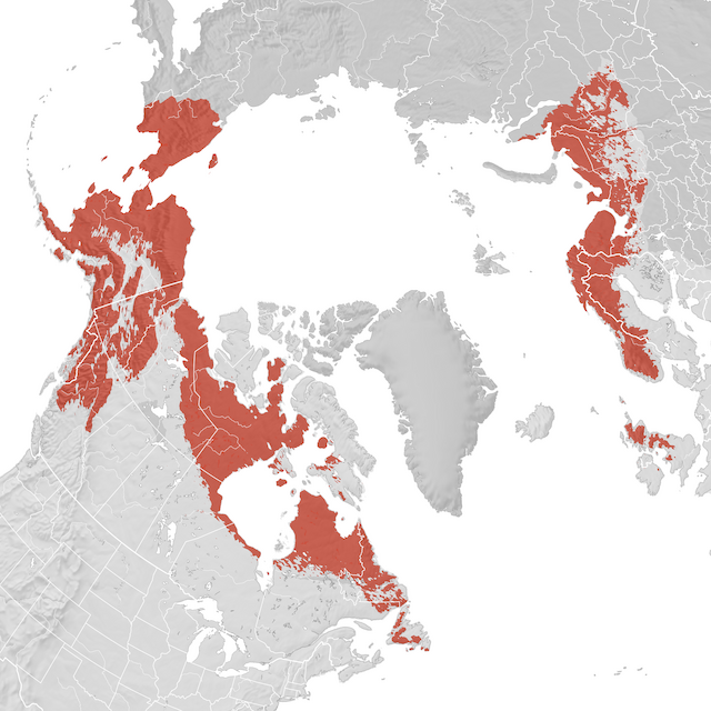 Mappa di distribuzione