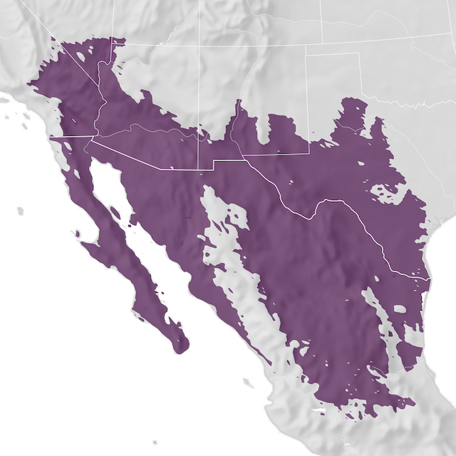 Mappa di distribuzione