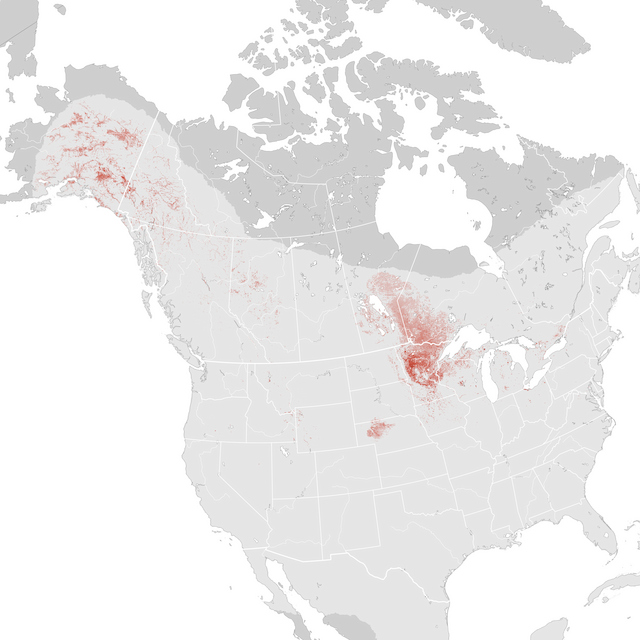 Mapa abundance