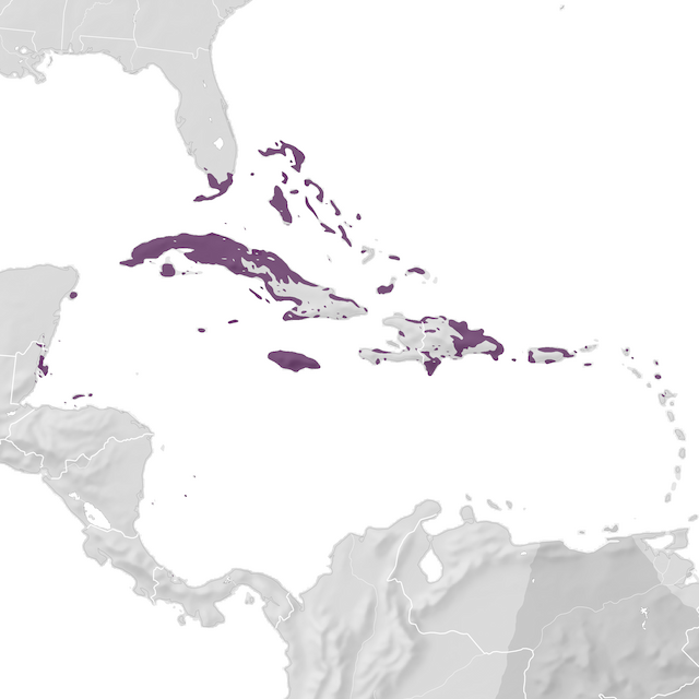 Mapa de distribuição