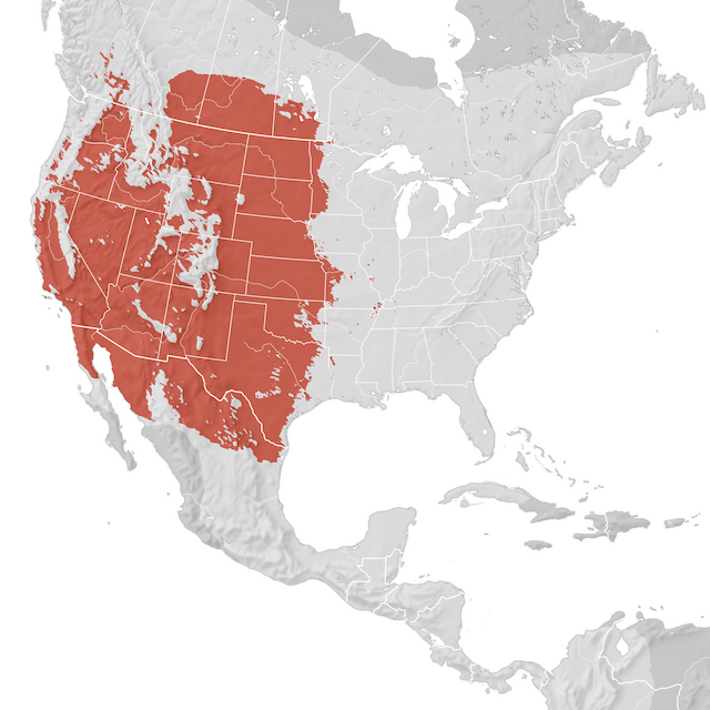 Range Map