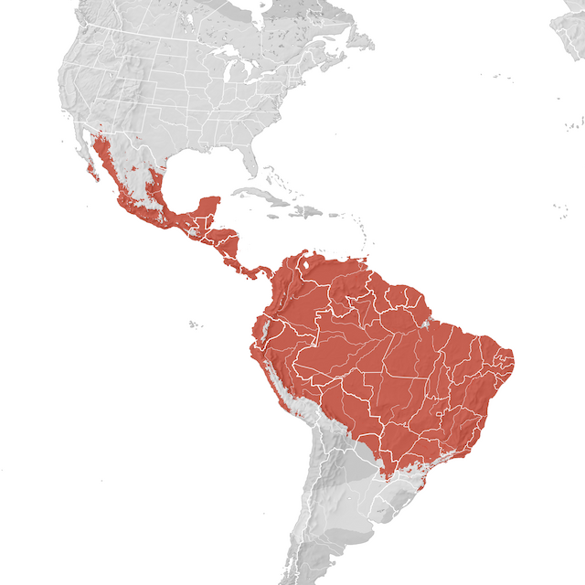 Mapa de Distribuição