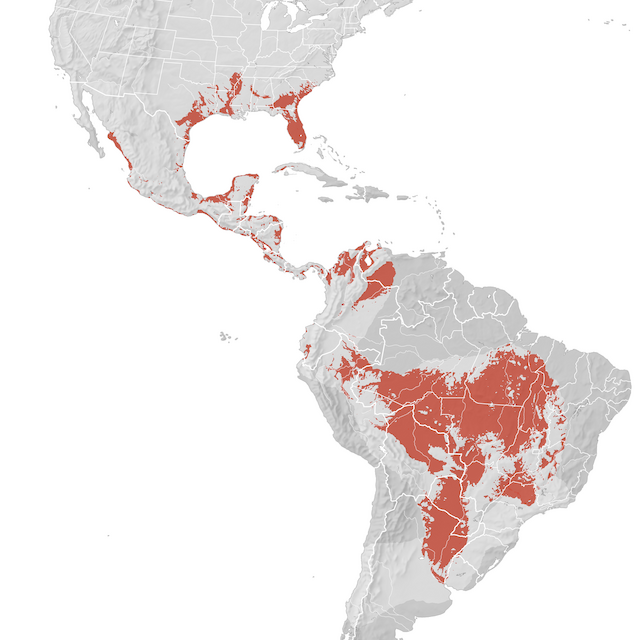 Mapa de distribuição