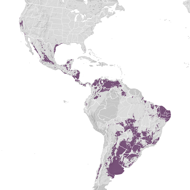 Mapa de Distribuição