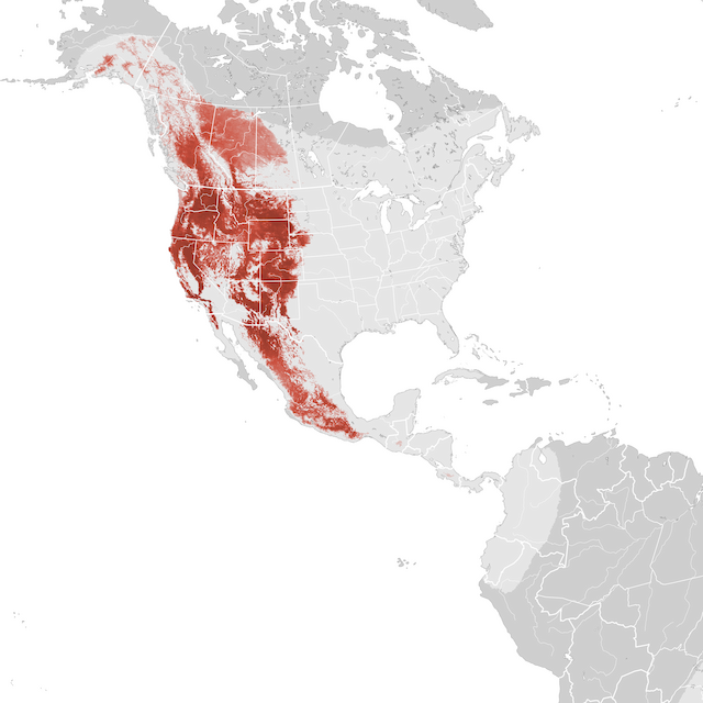 Abundance Map