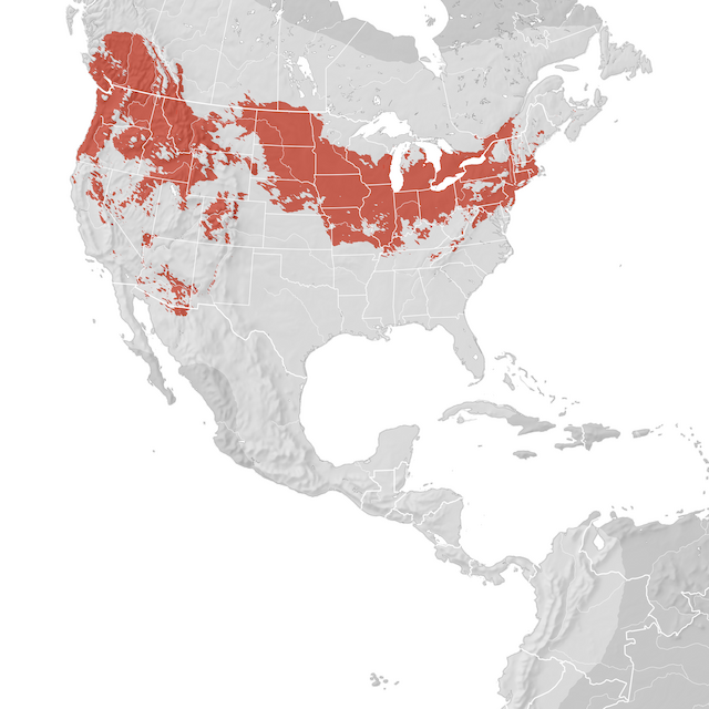 Carte de distribution