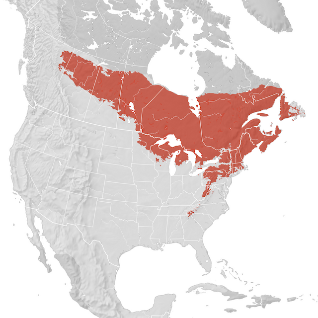 Range Map