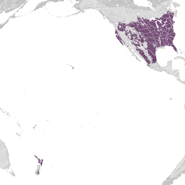 Carte de distribution