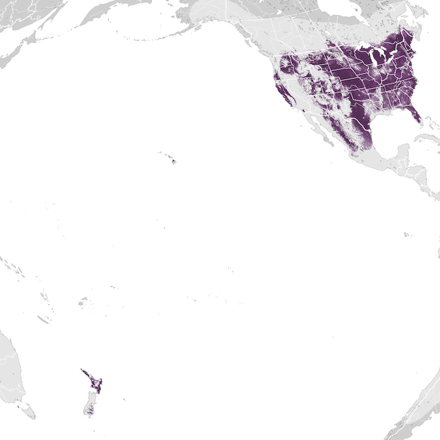 Mapa de abundâcia