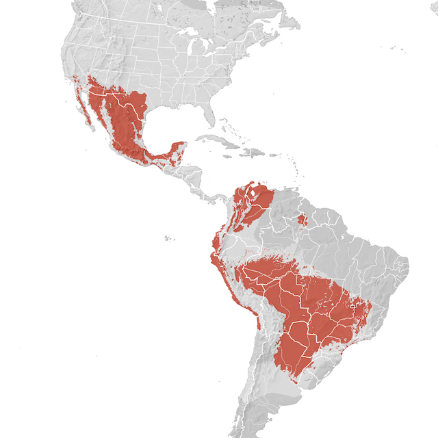 Mapa de distribuição