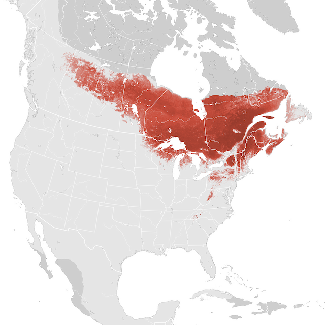 Abundance Map