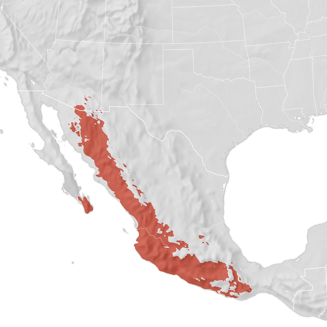 Range Map