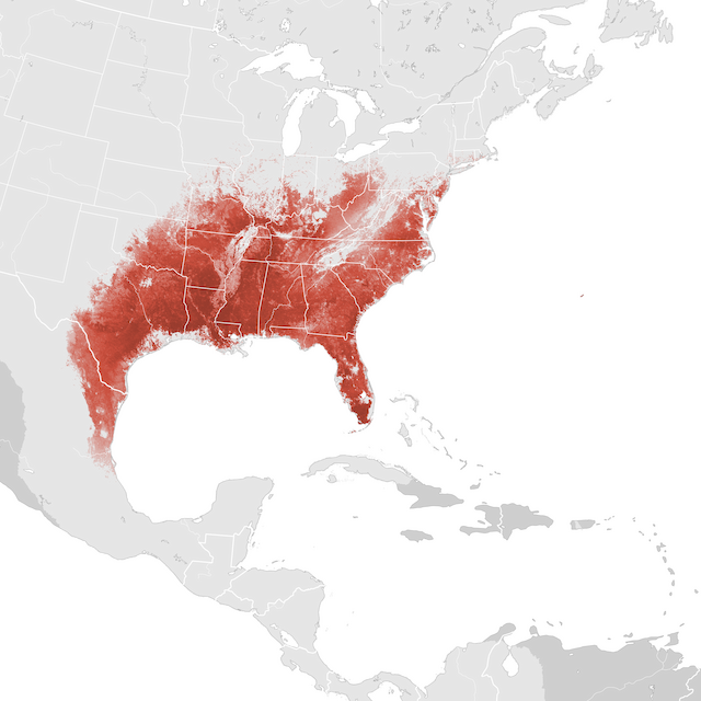 Mapa de Abundância