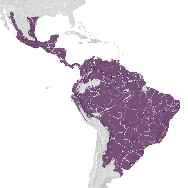 Mapa de distribuição