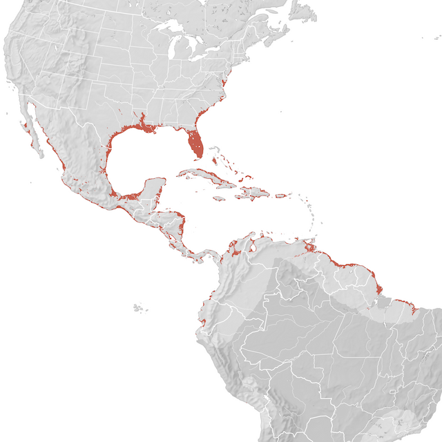 Mapa de Distribuição