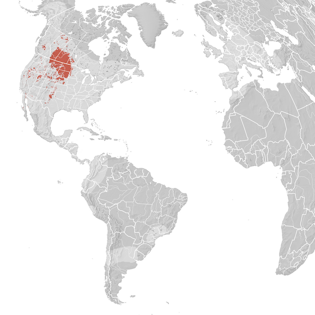 Mappa di distribuzione