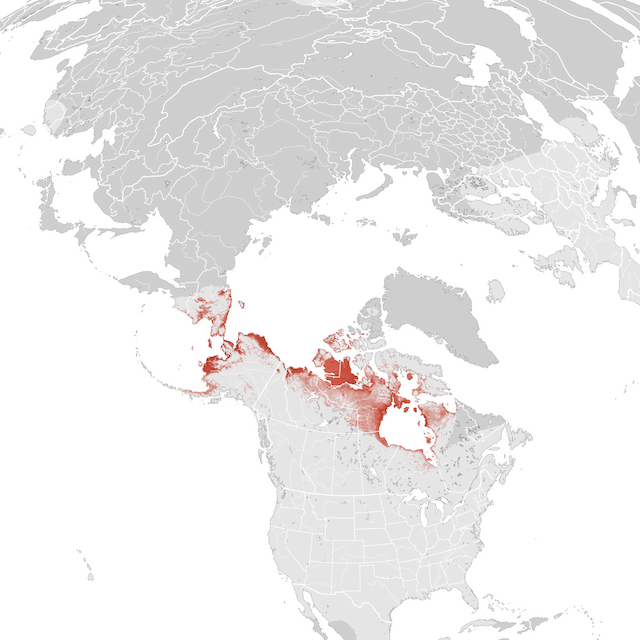 Mapa de abundancia