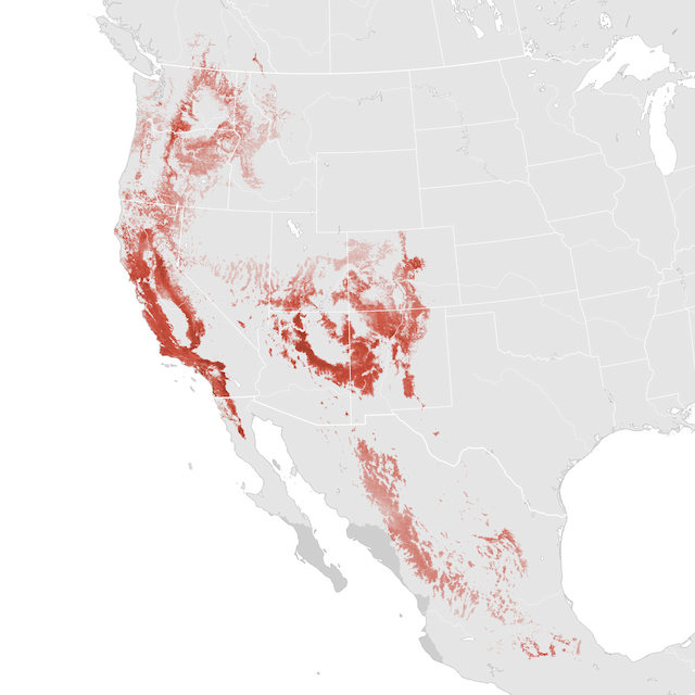 Mapa abundance