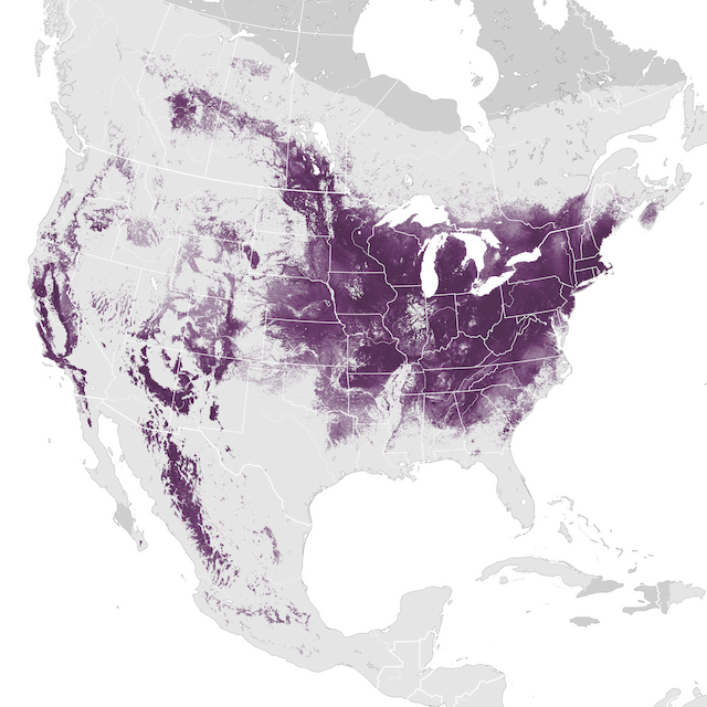 Abundance Map