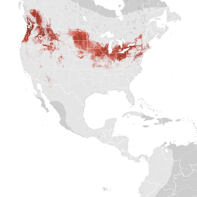 Mapa de abundancia