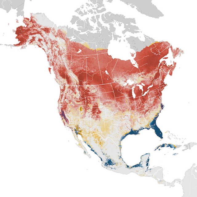 Abundance Map