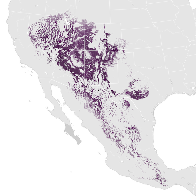 Mapa de Abundância