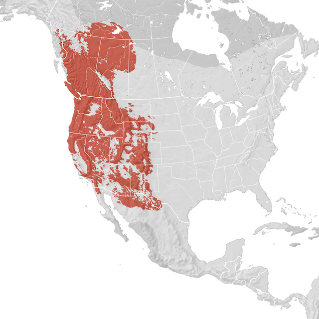 Range Map