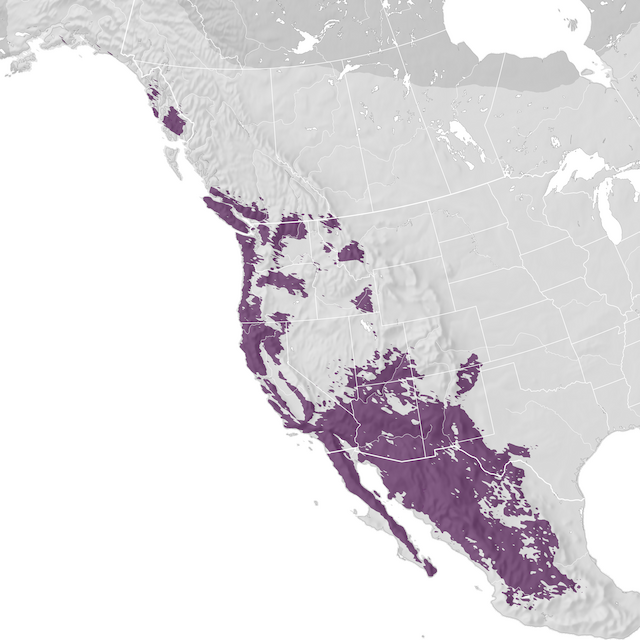 Range Map