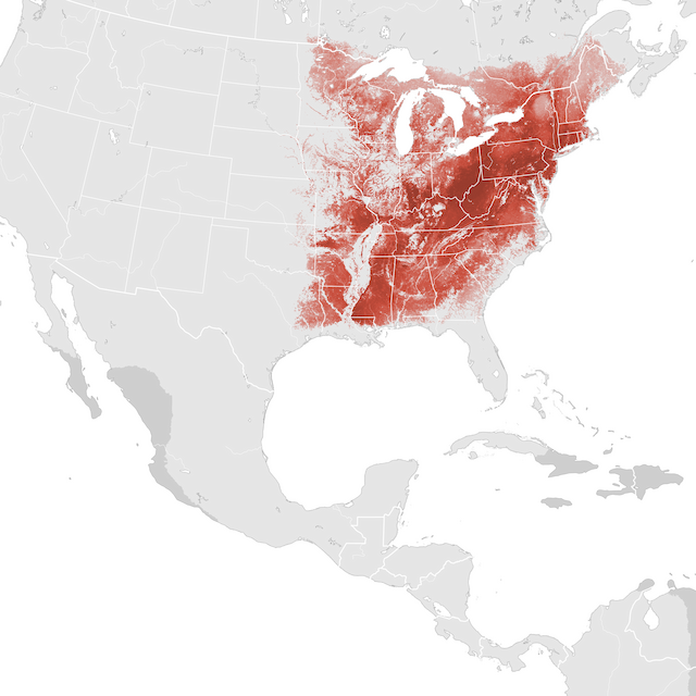 Abundance Map