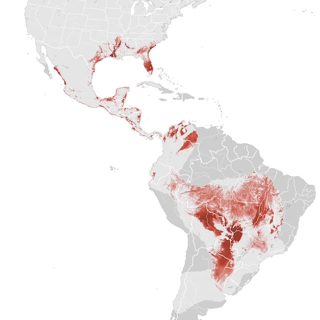 Abundance Map