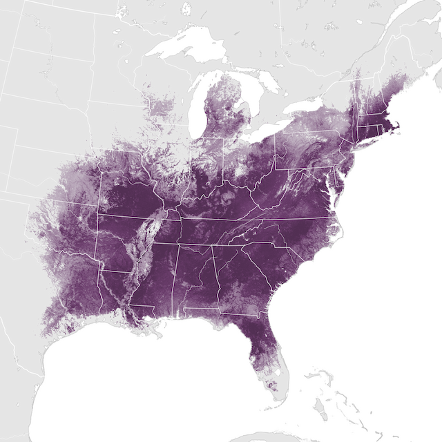 Abundance Map