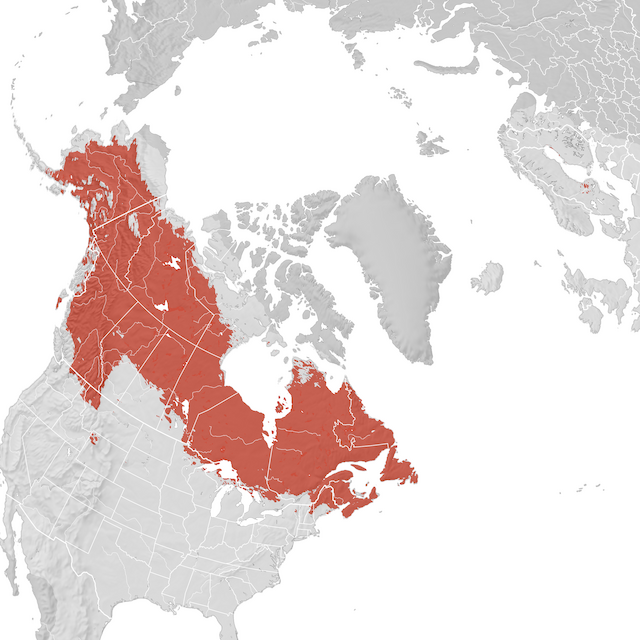 Mapa de distribuição