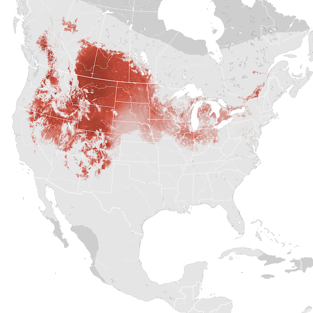 Abundance Map