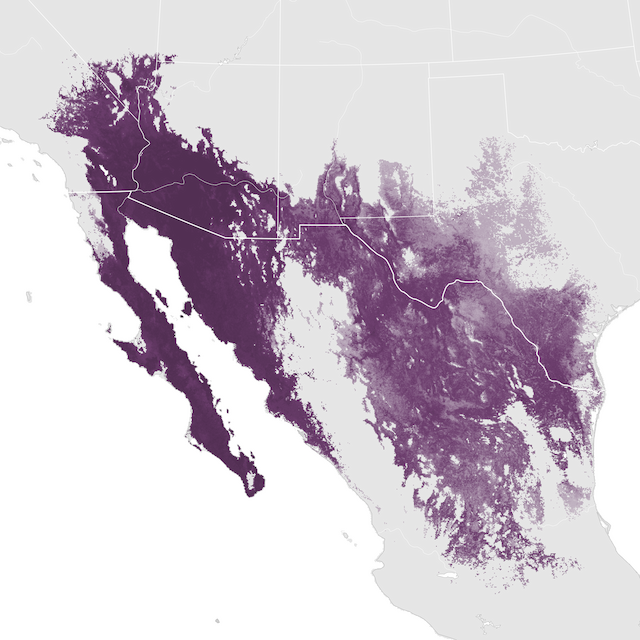 Abundance Map