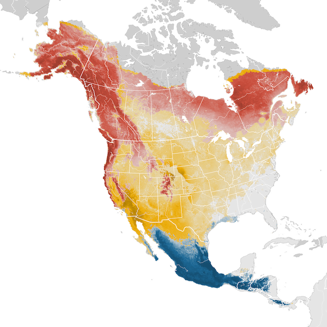 Abundance Map