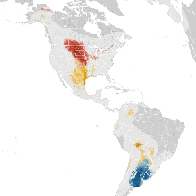 Abundance Map