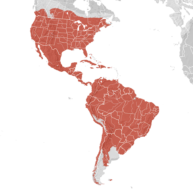 Mapa de distribuição