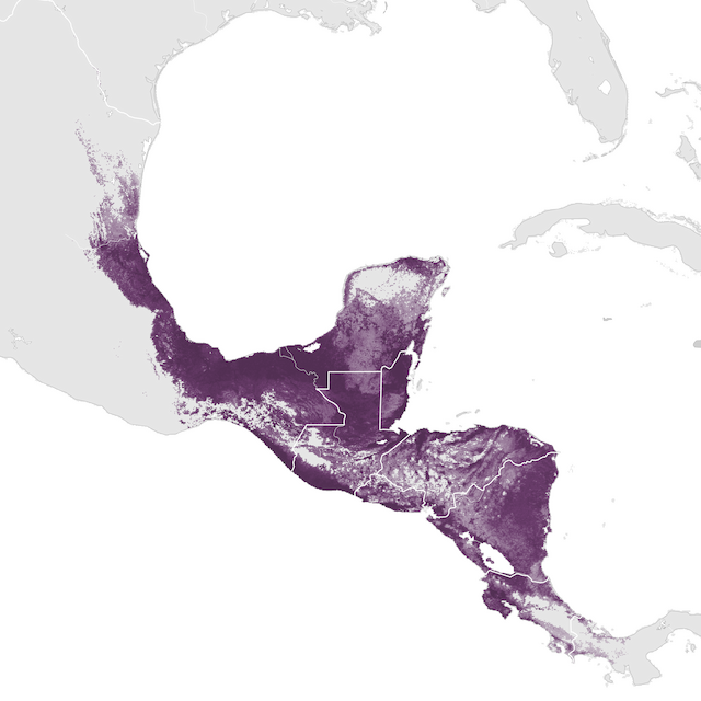 Abundance Map