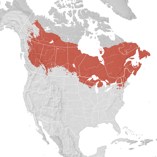 Range Map