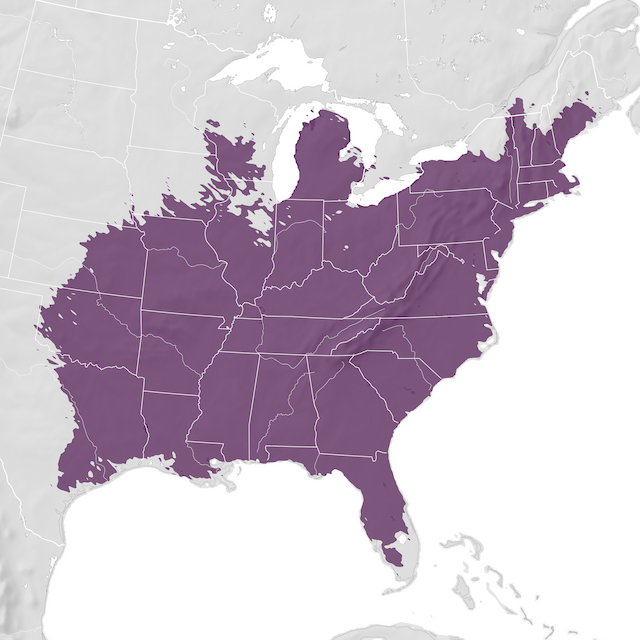 Mapa de distribuição