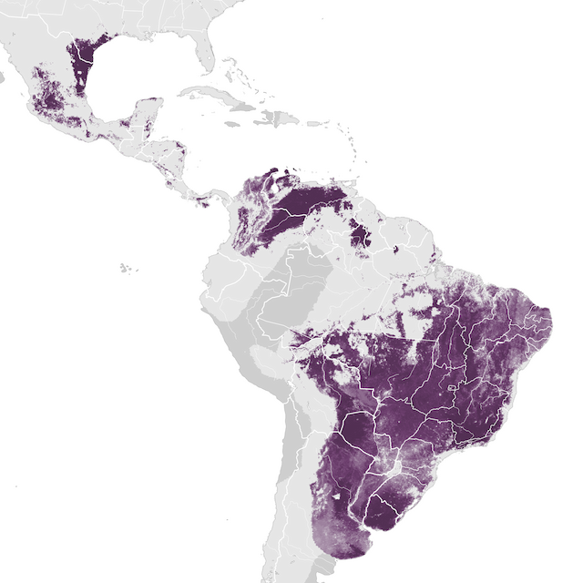 Mapa de abundancia