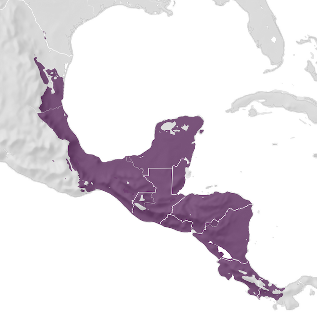 Mappa di distribuzione