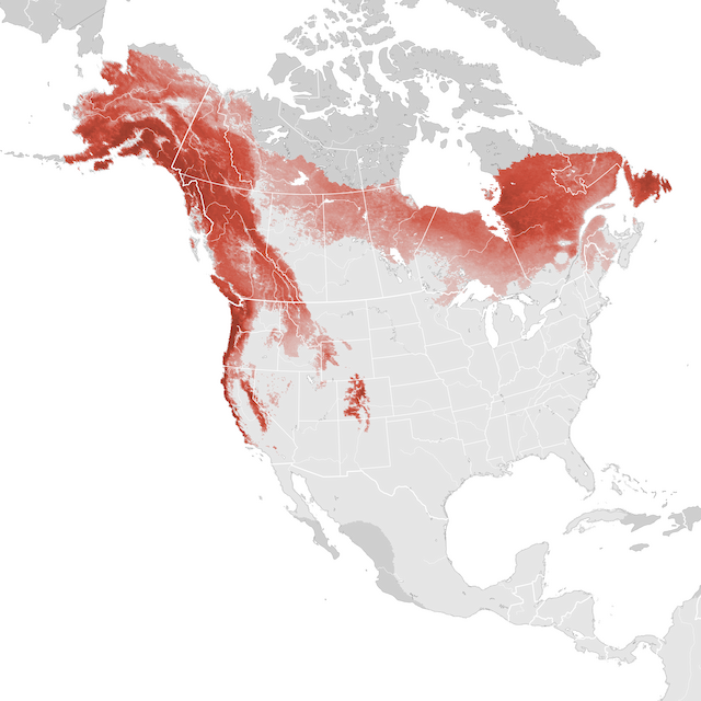 Mapa de Abundância