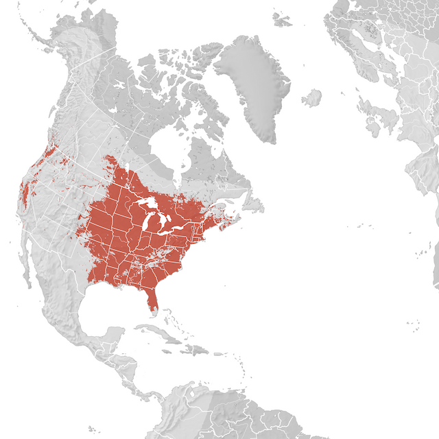 Carte de distribution