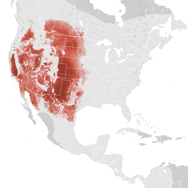 Mapa de abundancia