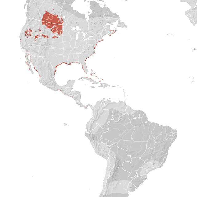 Mappa di distribuzione