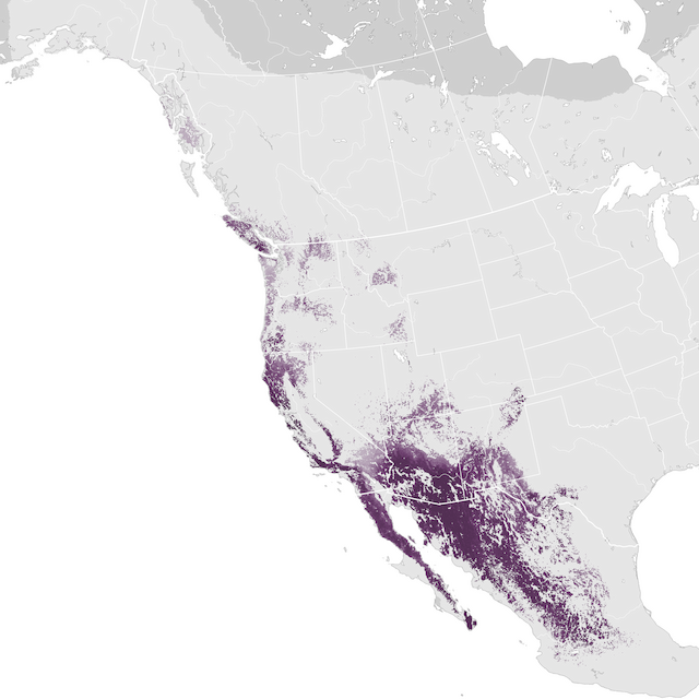 Abundance Map