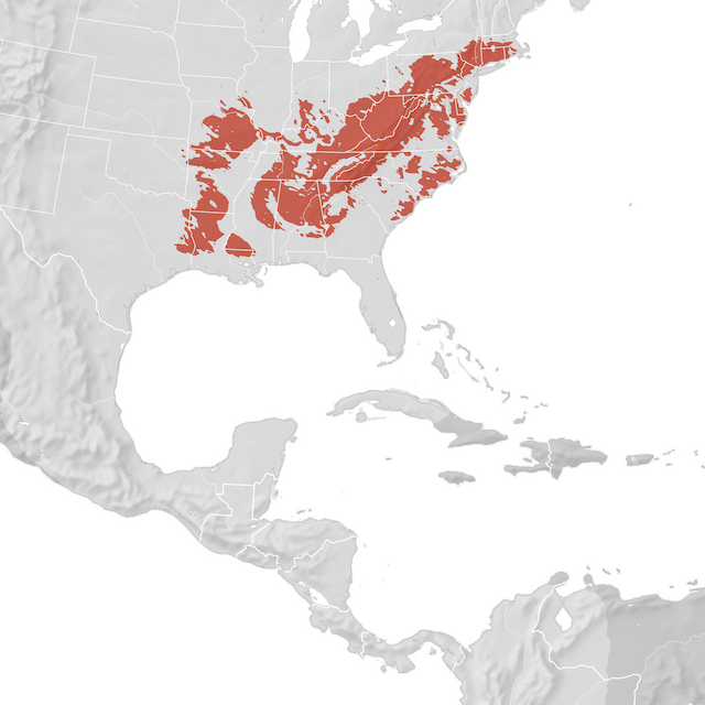 Mappa di distribuzione