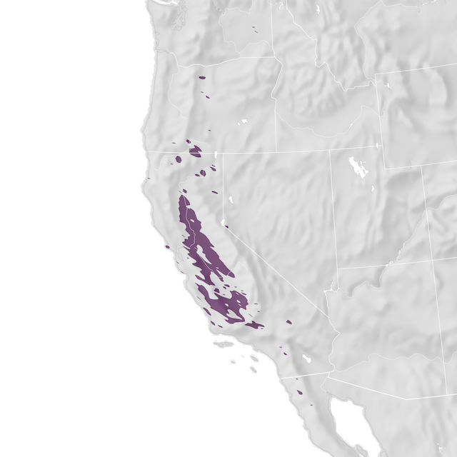 Range Map